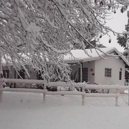 Sycamore Avenue Treehouses & Cottages Accommodation Windy Room photo