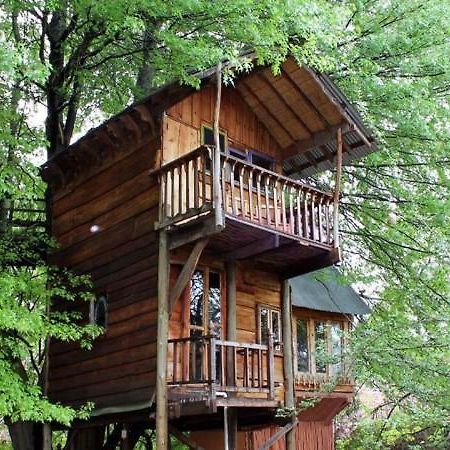 Sycamore Avenue Treehouses & Cottages Accommodation Windy Exterior photo