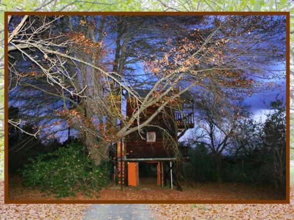 Sycamore Avenue Treehouses & Cottages Accommodation Windy Room photo