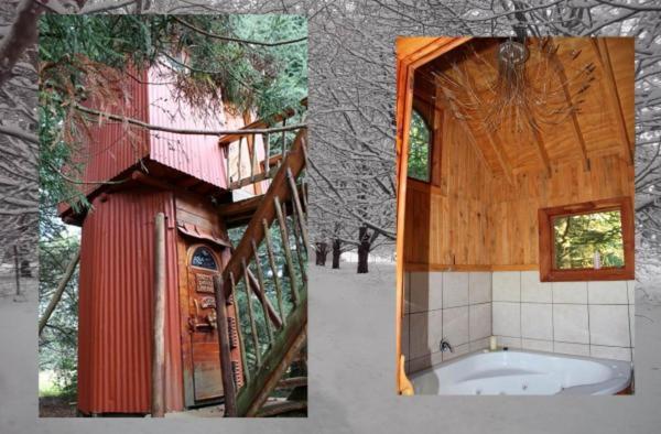 Sycamore Avenue Treehouses & Cottages Accommodation Windy Room photo