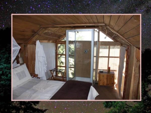 Sycamore Avenue Treehouses & Cottages Accommodation Windy Room photo