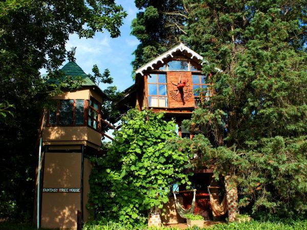 Sycamore Avenue Treehouses & Cottages Accommodation Windy Exterior photo