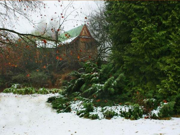 Sycamore Avenue Treehouses & Cottages Accommodation Windy Exterior photo