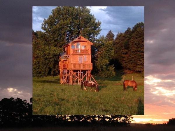 Sycamore Avenue Treehouses & Cottages Accommodation Windy Exterior photo