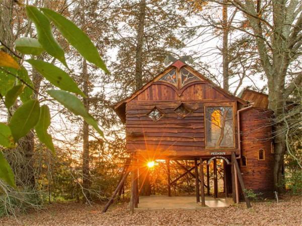 Sycamore Avenue Treehouses & Cottages Accommodation Windy Exterior photo