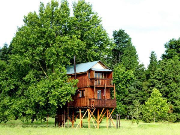 Sycamore Avenue Treehouses & Cottages Accommodation Windy Exterior photo