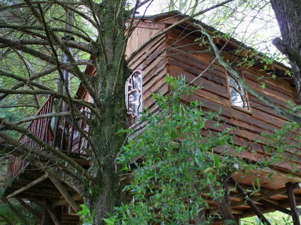 Sycamore Avenue Treehouses & Cottages Accommodation Windy Exterior photo