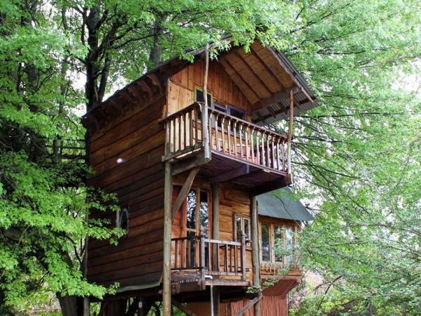 Sycamore Avenue Treehouses & Cottages Accommodation Windy Exterior photo