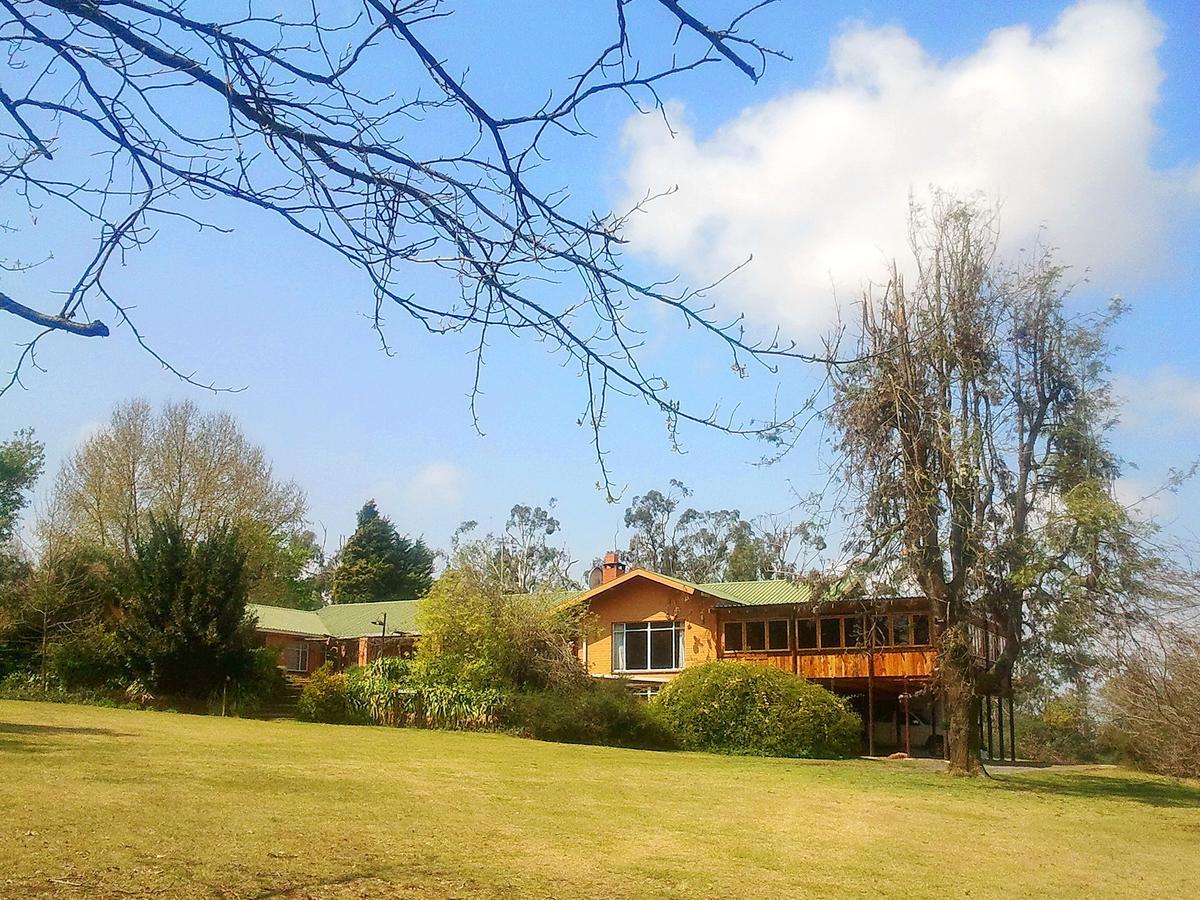 Sycamore Avenue Treehouses & Cottages Accommodation Windy Exterior photo