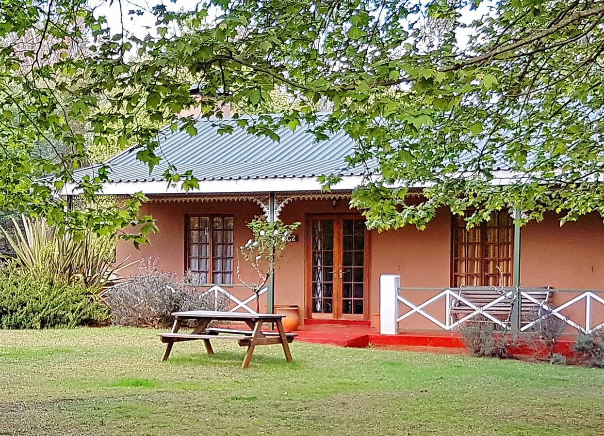 Sycamore Avenue Treehouses & Cottages Accommodation Windy Exterior photo