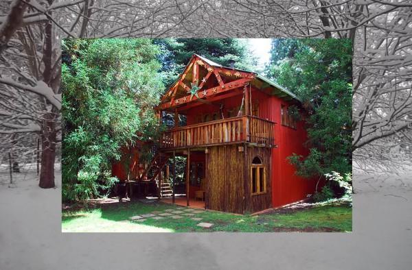 Sycamore Avenue Treehouses & Cottages Accommodation Windy Room photo